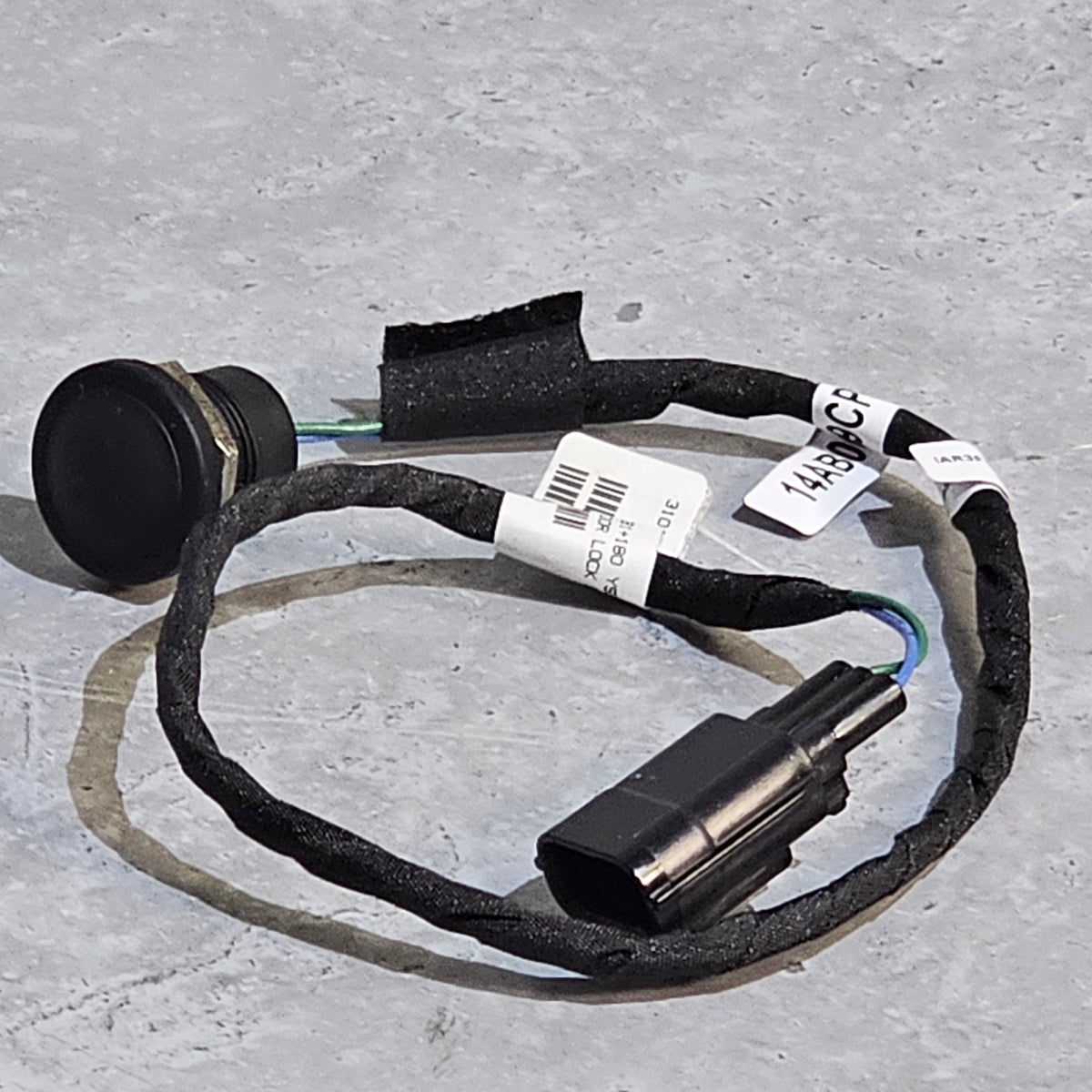 20240415-171545_1200x1200.jpg?