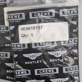 BENTLEY O-RING 4E0615137