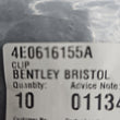 Load image into Gallery viewer, BENTLEY CLIP 4E0616155A