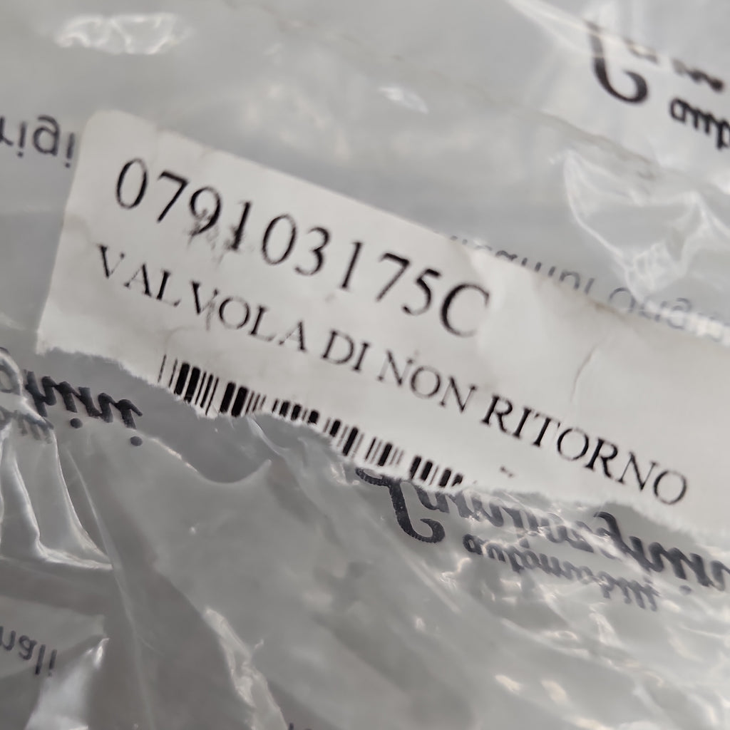 Lamborghini Gallardo  CHECK VALVE 079103175C