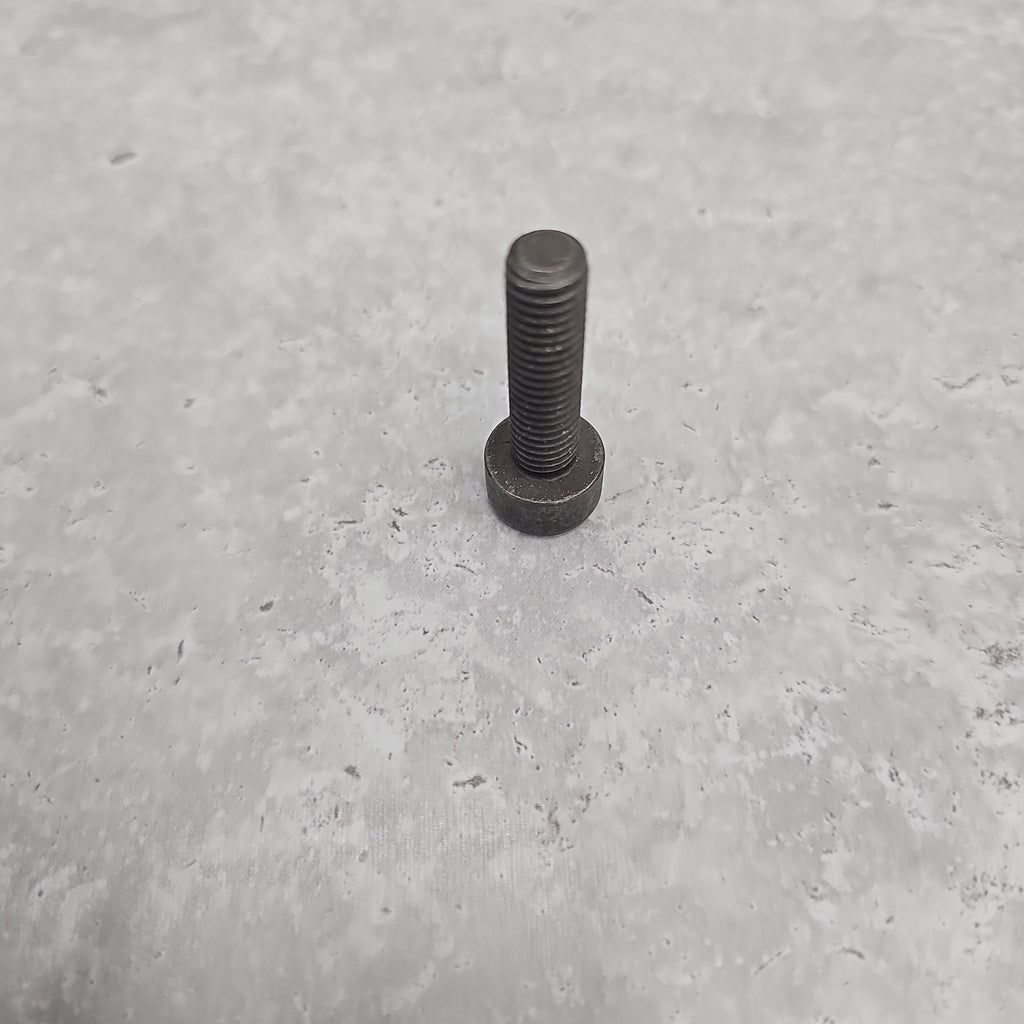 LAMBORGHINI Socket Head Bolt With Inner Multipoint Head (m8x30) N91131202