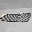 Load image into Gallery viewer, BENTLEY CONTINENTAL GRILLE 3W3807647C
