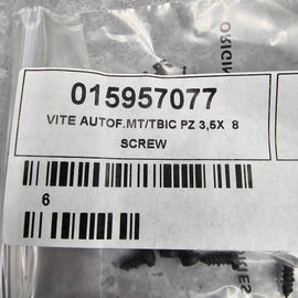 FERRARI 458, SCREW, TUNNEL COVER CARBON 15957077