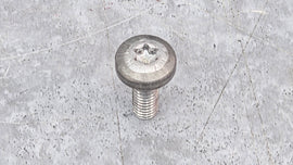 BENTLEY TORX SCREW WHT008552