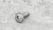 Load image into Gallery viewer, BENTLEY OVAL HEXAGON SOCKET HEAD M6X16 N91126601