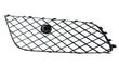 Load image into Gallery viewer, BENTLEY CONTINENTAL V8 2012+ FRONT RIGHT GRILL 3W3807648C