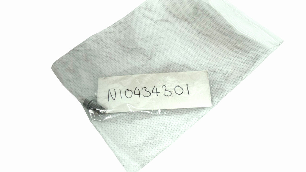 BENTLEY PAN-HEAD SCREW N10434301