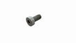 Load image into Gallery viewer, BENTLEY PAN-HEAD SCREW N10434301