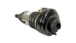 Load image into Gallery viewer, LAMBORGHINI URUS FRONT LEFT SHOCK ABSORBER 4M0616039AE