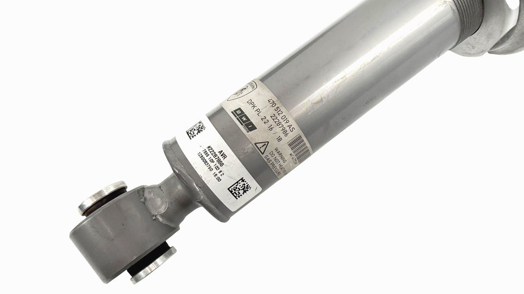 LAMBORGHINI AVENTADOR REAR SHOCK ABSORBER 470512019AS