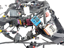 LAMBORGHINI URUS ENGINE WIRING HARNESS 0P2971595CN