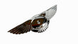 Load image into Gallery viewer, BENTLEY FLYIING SPUR 2013+ "BENTLEY WINGS" EMBLEM 4W0853621A
