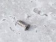 Load image into Gallery viewer, BENTLEY OVAL HEAD CSK SELF TAPP SCREW  N91142001