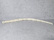 Load image into Gallery viewer, BENTLEY CONTINENTAL TRIM STRIP FOR BUMPER 3SD807050