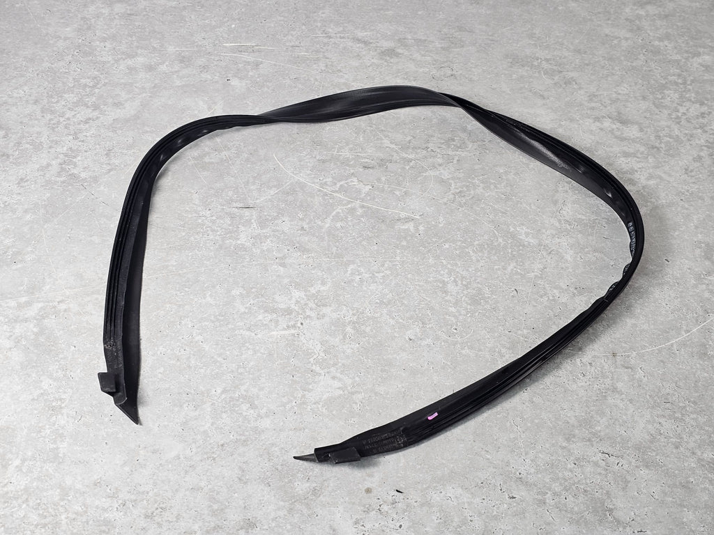 ASTON MARTIN WEATHER STRIP BONNET RY63-16C824-A