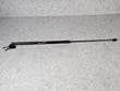 Load image into Gallery viewer, AUDI Q8 RSQ8 BONNET HOOD STRUT 4M8823359A