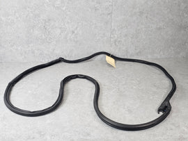 ASTON MARTIN V8 VANTAGE COUPE LEFT SIDE DOOR WEATHERSTRIP 6G33-C20709-AH
