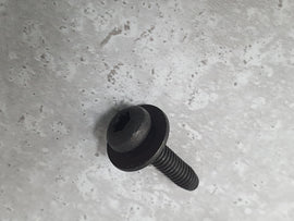 ASTON MARTIN SCREW M4 X 16 W/WSHR 708101