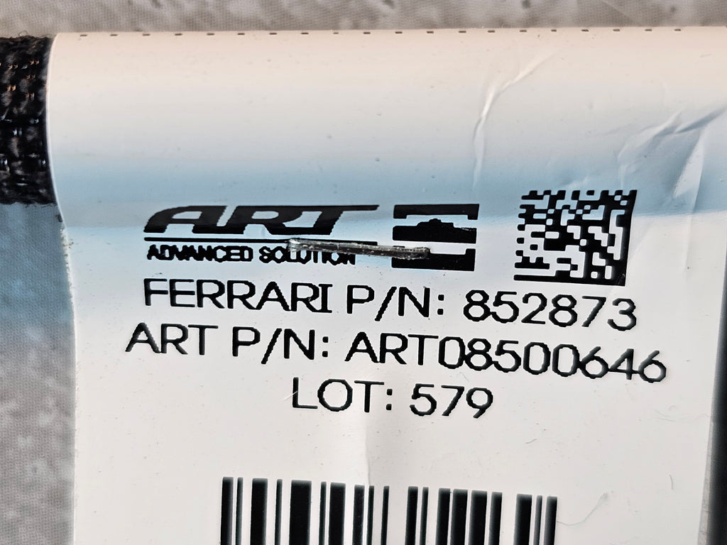 FERRARI 812 GTS WIRING HARNESS WITH FRONT BUMPER AND REAR CAMERA CABLES 878622 / 852873