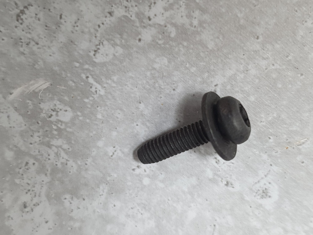 ASTON MARTIN SCREW M4 X 16 W/WSHR 708101