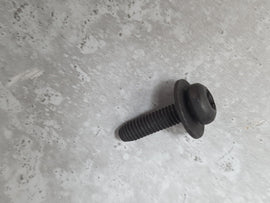 ASTON MARTIN SCREW M4 X 16 W/WSHR 708101