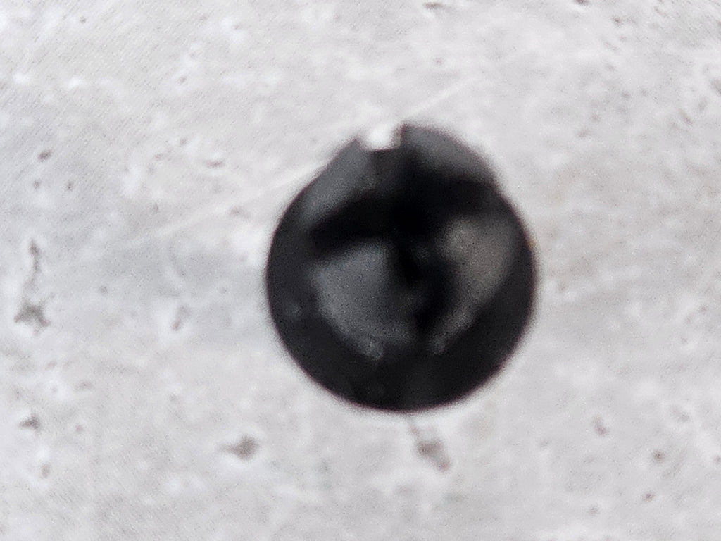 FERRARI PLASTIC CLIP 62764000