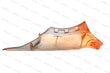 Load image into Gallery viewer, MCLAREN MP4 FRONT FENDER LH - VOLCANO ORANGE